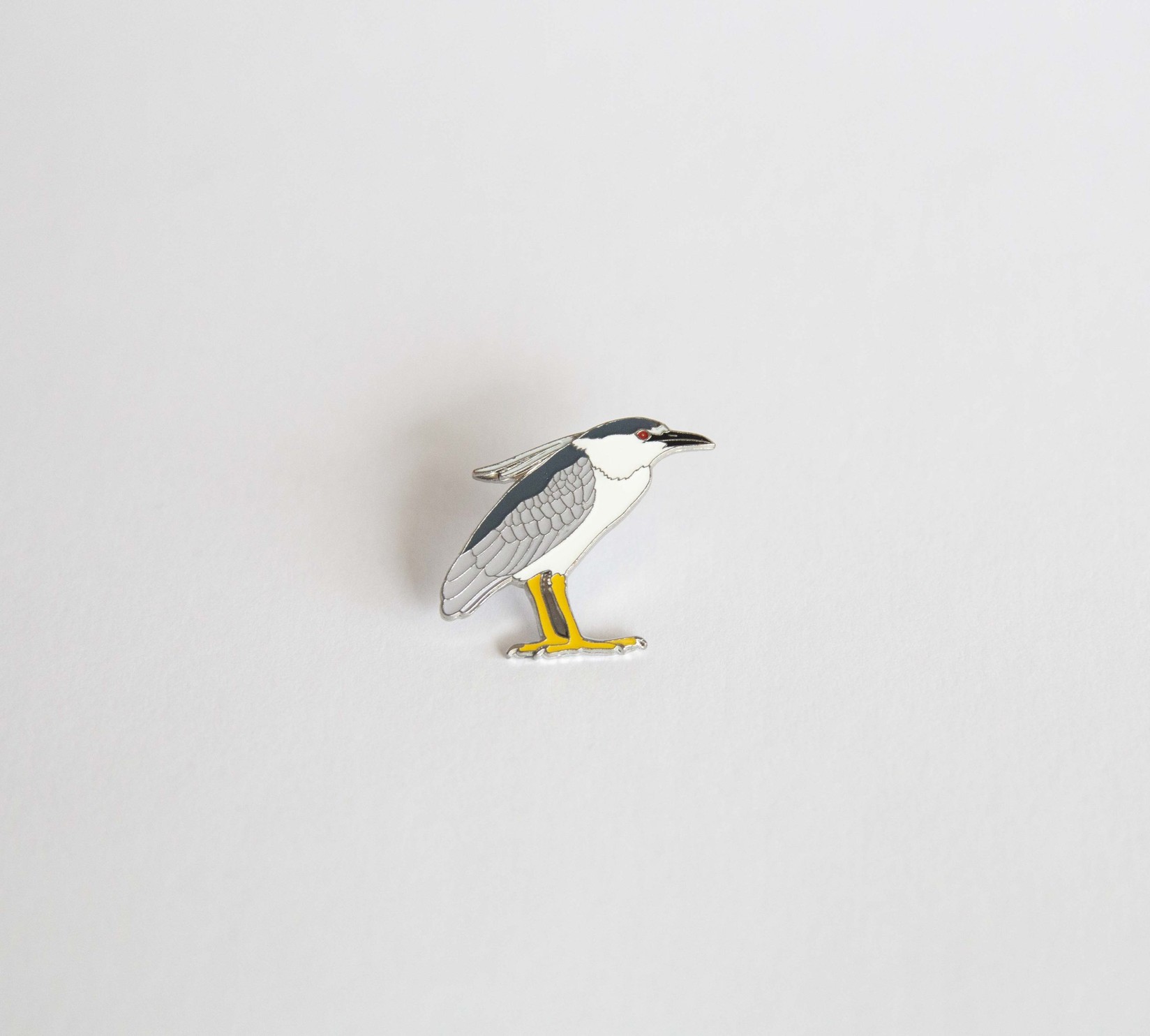 Monticola Bedž  Gak (Nycticorax nycticorax)