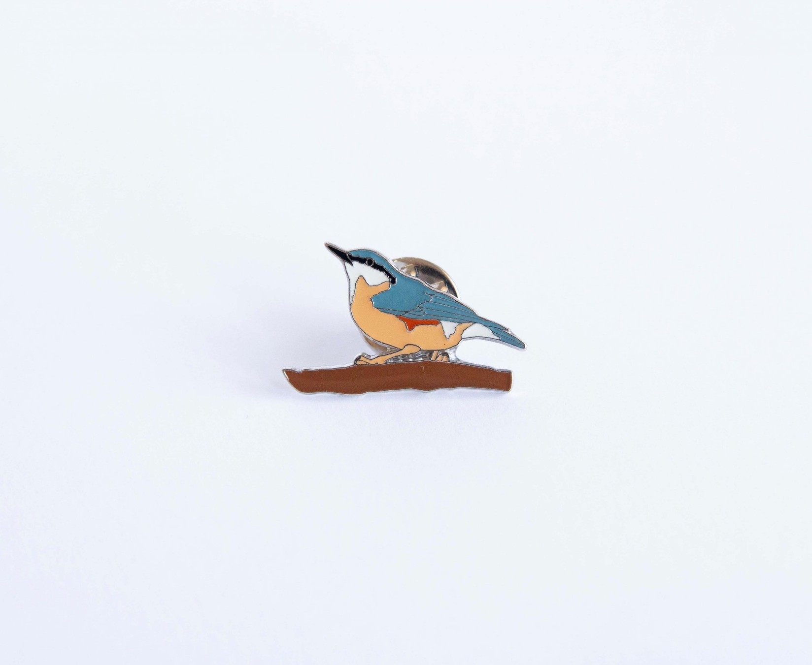 Monticola Bedž  Brgljez (Sitta europaea)