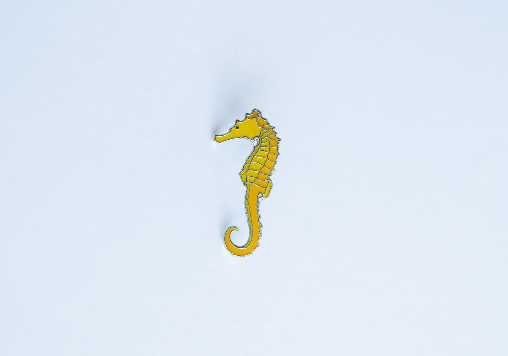 Monticola Bedž  Morski konjić (Hippocampus)