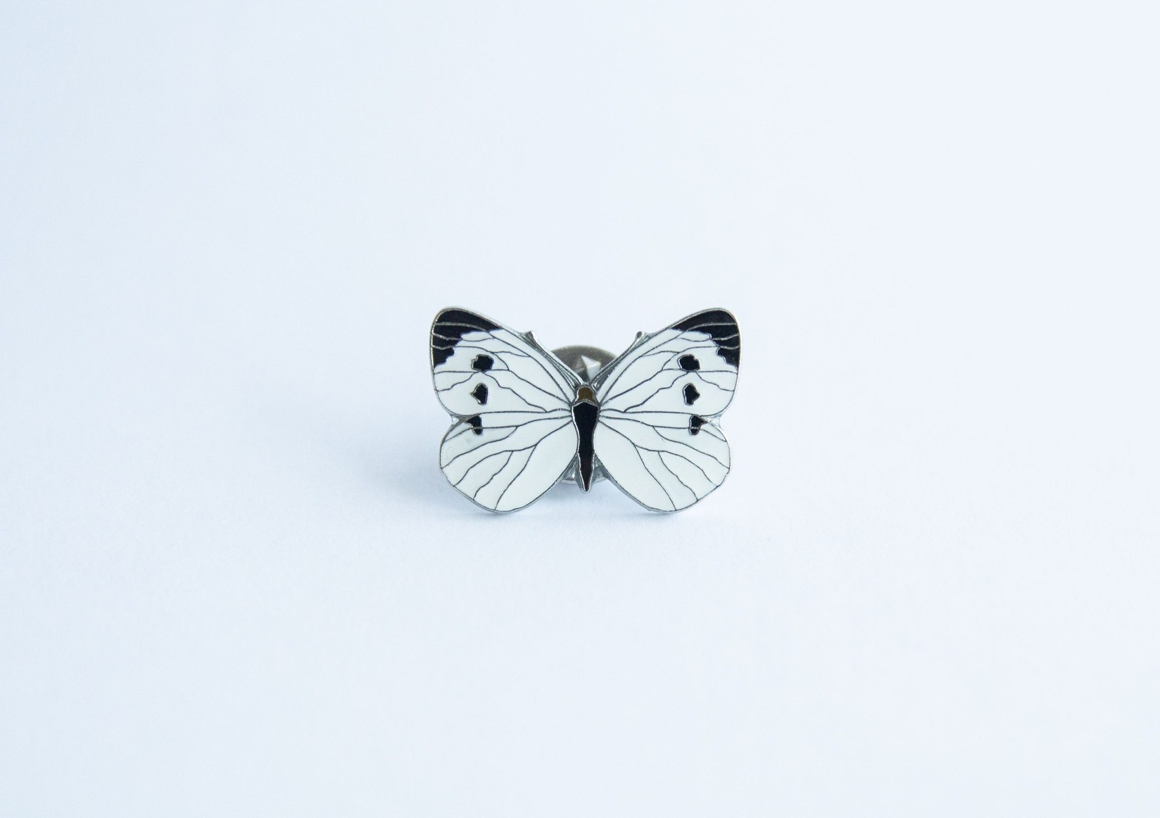 Monticola Bedž  Veliki kupusar (Pieris brassicae)