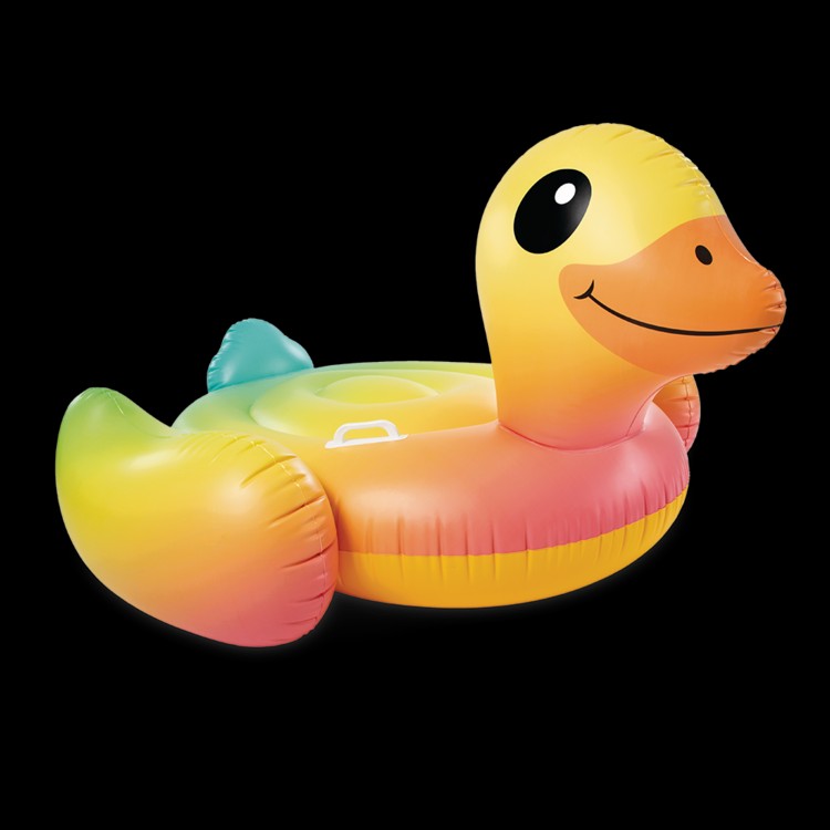 Intex dušek patka, Šarena