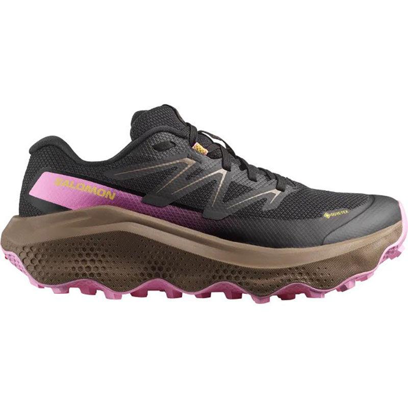 Salomon Ultra Flow 2 Gtx ženske patike