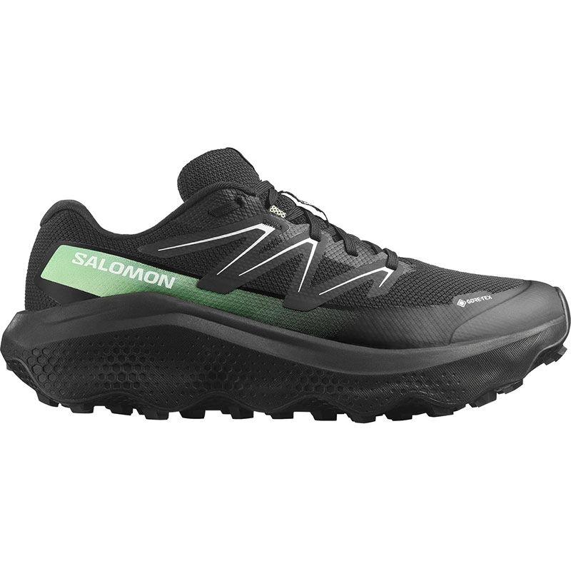 Salomon Ultra Flow 2 Gtx muške patike