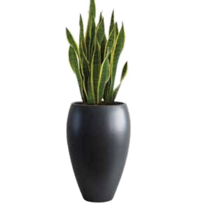 CHINA ARTS Saksija fiberglas L65xW65xH104cm Matte Coffee