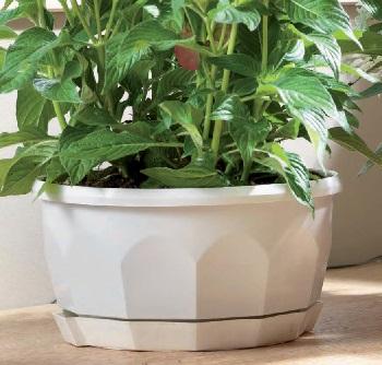 GREENPLAST Saksija sa podmetačem 20x10,05cm 2,3Lit. FIO.020.CS.TO