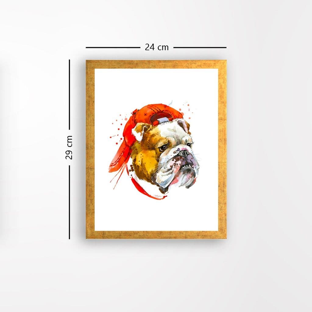 image for product