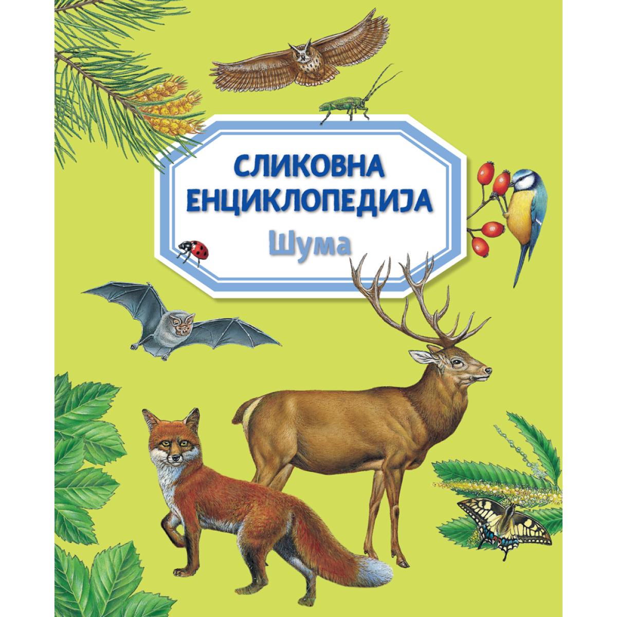 image for product